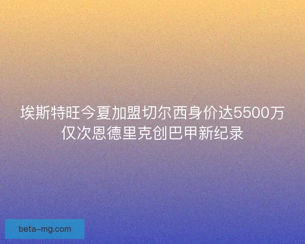 埃斯特旺今夏加盟切尔西身价达5500万仅次恩德里克创巴甲新纪录